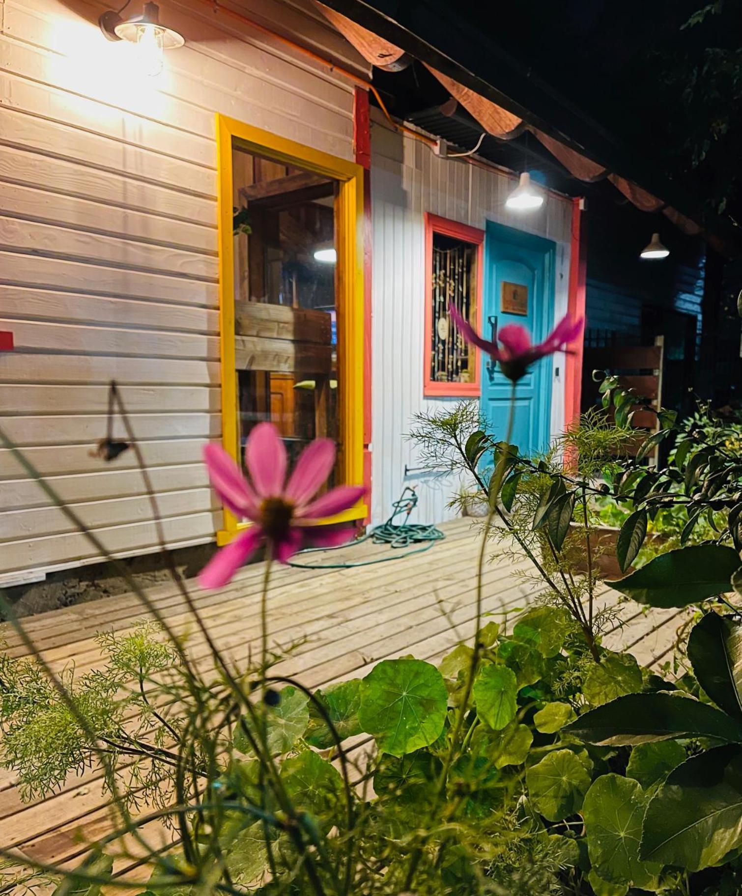 La Araucaria Hosteria Boutique - Ex Lounge Brasil Pucón Kültér fotó