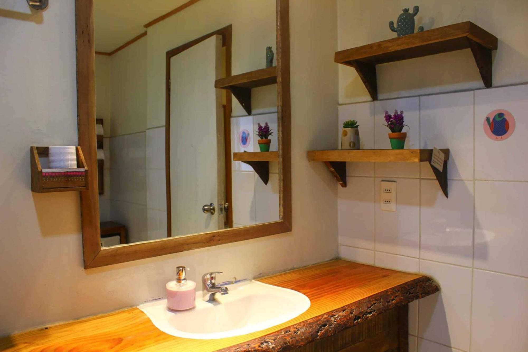 La Araucaria Hosteria Boutique - Ex Lounge Brasil Pucón Kültér fotó